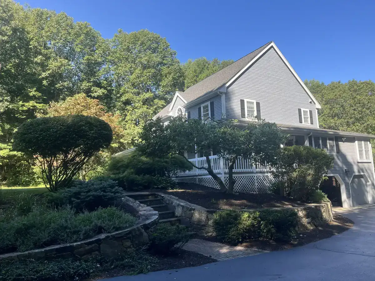 Tree trimming and pruning - After