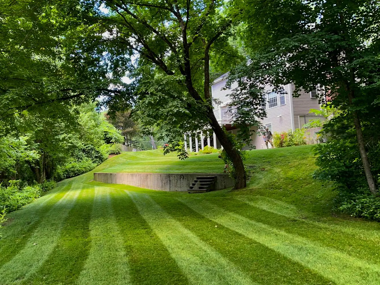 Freshly mowed residential lawn with crisp striping