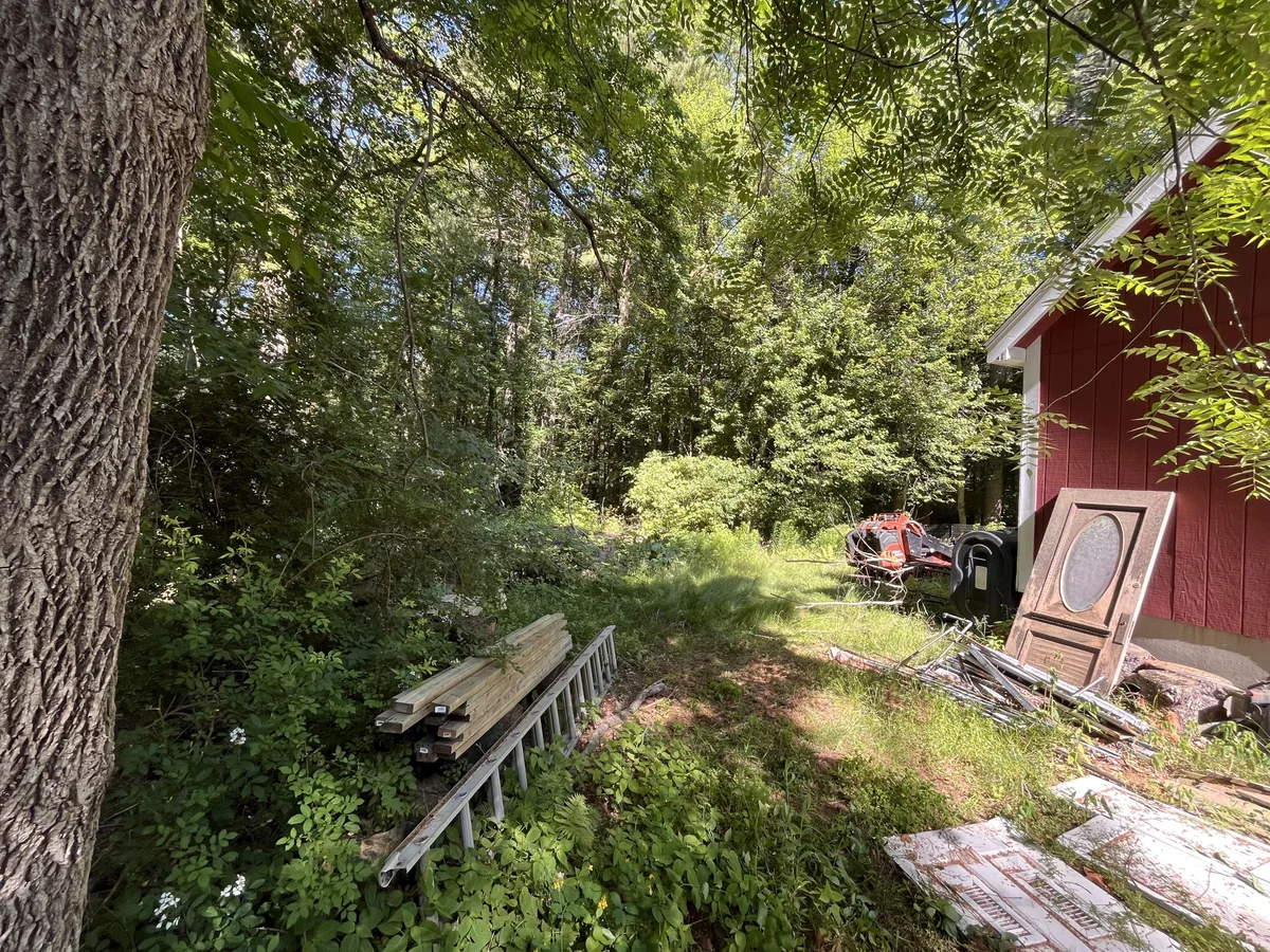 Overgrown wooded side yard cleared of brush and debris - Before