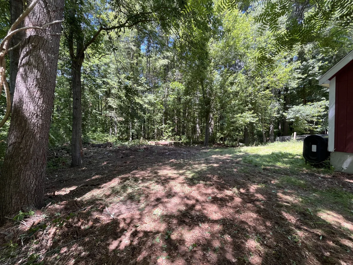 Overgrown wooded side yard cleared of brush and debris - After