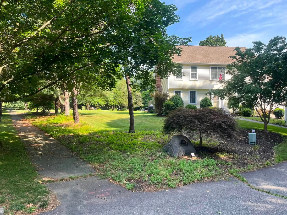 Residential mulch bed refresh around Japanese maple and driveway island - Before