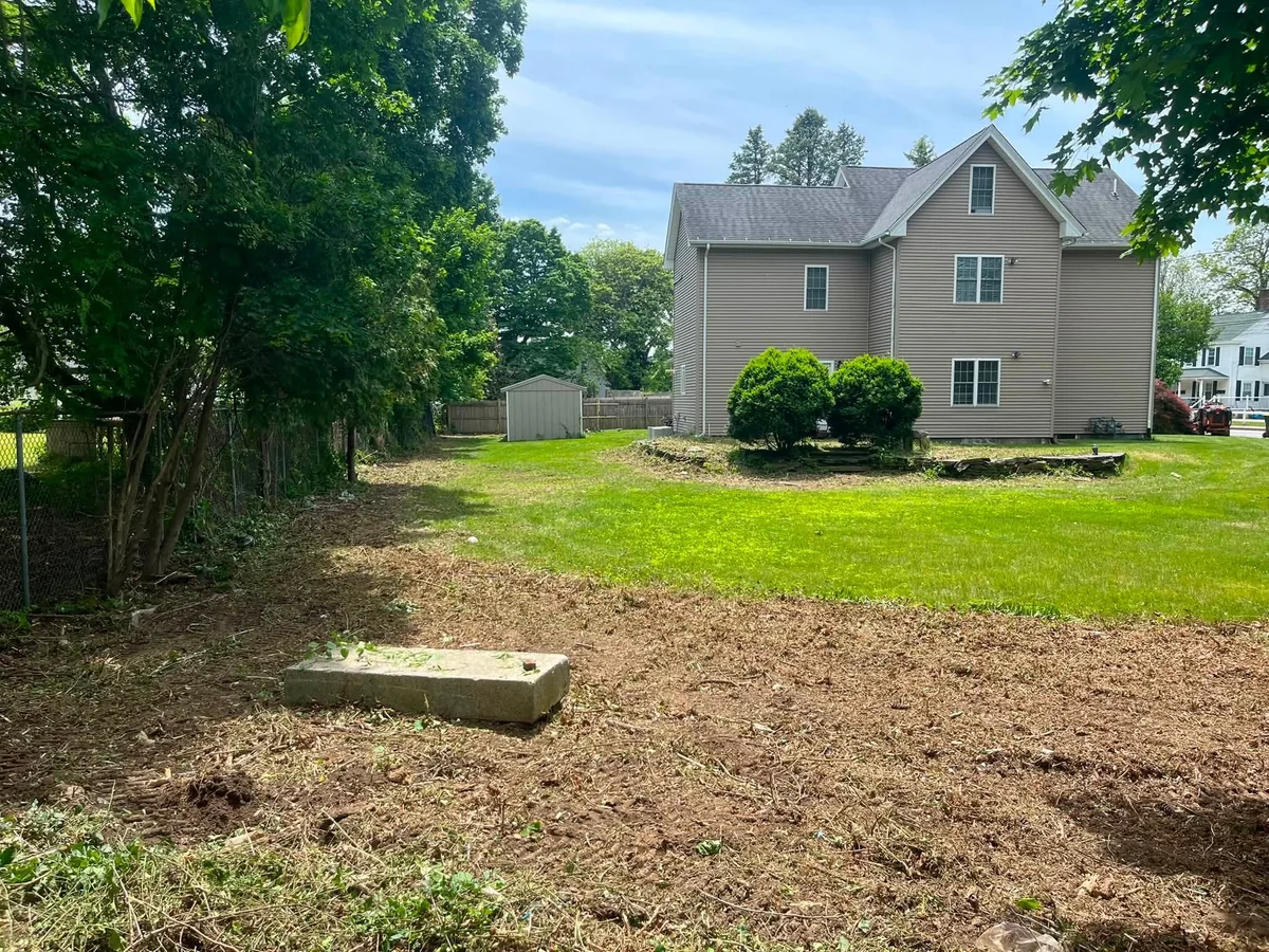 Dense residential backyard overgrowth cleared to open ground - After